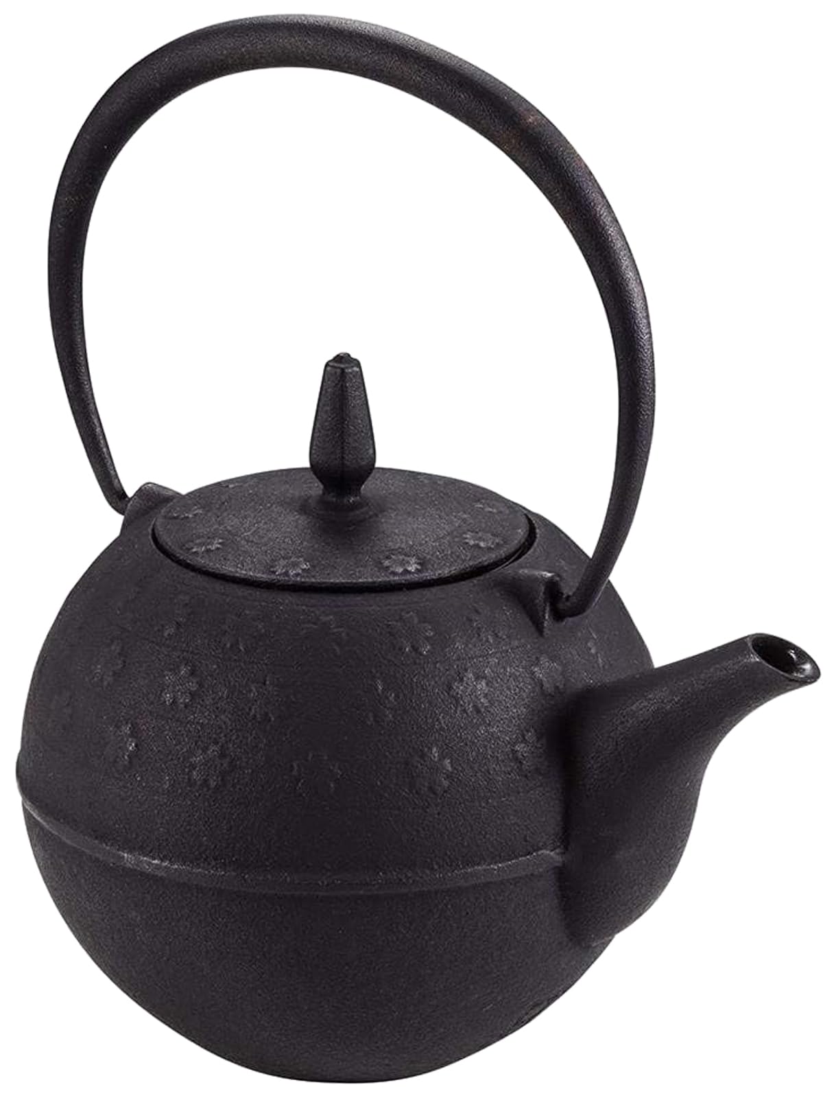 Amazon｜池永鉄工(Ikenaga Iron Works) 鉄急須 0.6L 南部鉄器 黒 日本